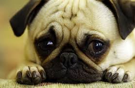 tristeza profunda