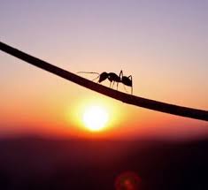 equilibrio